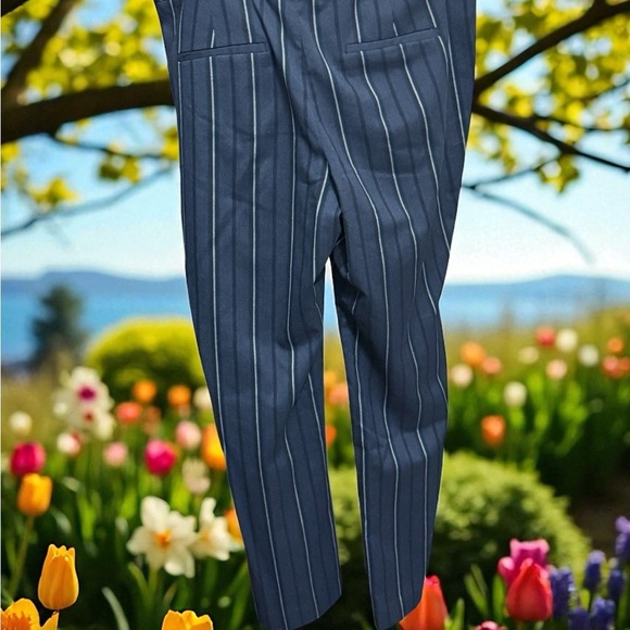 Ann Taylor Dark Blue Striped Ankle Pants - Picture 2 of 5